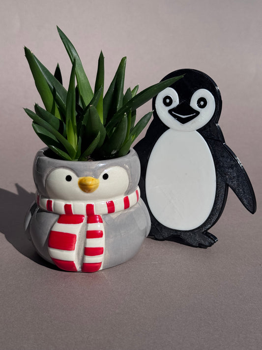 Penguin Coaster