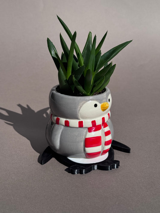 Penguin Coaster